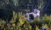 В ДТП с косулей в Елховском районе погибли две женщины