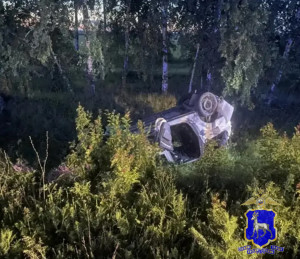 В ДТП с косулей в Елховском районе погибли две женщины