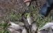 В Самарской области возбуждено уголовное дело по факту незаконной добычи рыбы