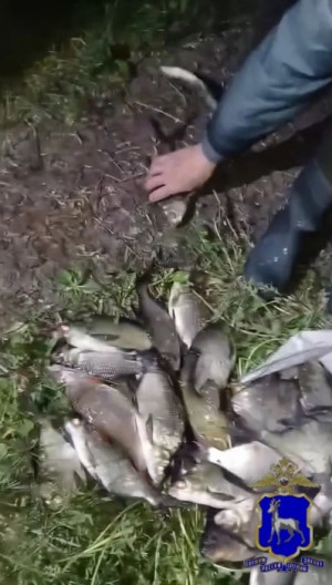 В Самарской области возбуждено уголовное дело по факту незаконной добычи рыбы