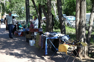 Более 330 протоколов за незаконную лоточную торговлю составлено в Самаре с начала 2026 года