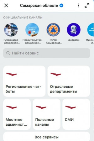 Цифровые сервисы Самарской области собрали в одном чат-боте