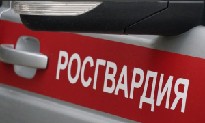Сотрудники Росгвардии задержали мужчину, скрывавшегося в Самаре от нижегородских стражей правопорядка