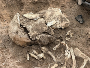 Археологи ГБУК «Наследие» завершили исследование курганного могильника «Придорожный», который находится в логистическом парке «Преображенка-2».