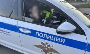 Сотрудники ГАИ Тольятти  задержали подозреваемого в незаконном приобретении и хранении наркотиков