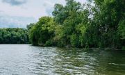 В Исаклах расчистят пруд Школьный
