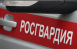 В Тольятти сотрудники Росгвардии предотвратили кражу из гипермаркета