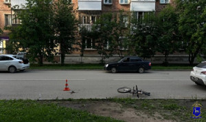 В Отрадном полицейские проводят проверку по факту ДТП с участием велосипедиста.