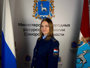 Основная доля нарушений связана с отходами — несанкционированными сбросами мусора на контейнерных площадках и в других не предназначенных для этого местах.