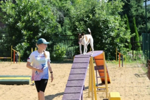 Спортсмены из Самары примут участие в Первенстве России по кинологическому спорту