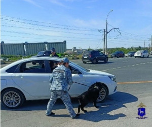 Жигулевец во время распития алкоголя оплатил наркотик через интернет
