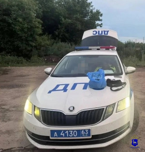 В Тольятти задержали подозреваемого в незаконном приобретении и хранении наркотических средств