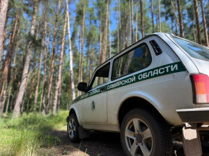 В 2026 году патрулирование лесного фонда в Самарской области организовано по 632 маршрутам общей протяжённостью более 60 тысяч километров.
