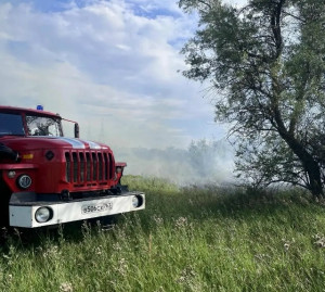 В Вожском районе вдоль железной дороги горела трава