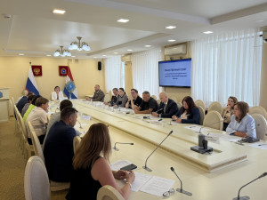 На заседании Общественного совета при минэкономразвития Самарской области обсудили инвестиционный климат и меры поддержки бизнеса