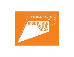 В Самарской области 231 компания внедряет бережливое производство в рамках федерального проекта «Производительность труда» национального проекта «Эффективная и конкурентная экономика».