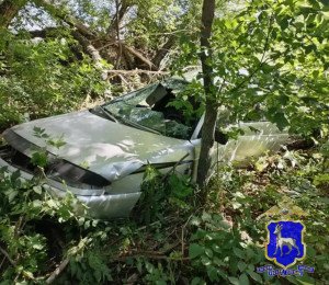 В Пестравском районе 22-летний водитель попал в ДТП, спрятал машину в лесу и сбежал