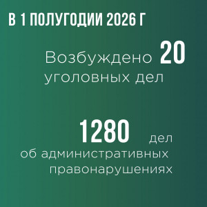 В регионе деятельности Самарской таможни за 1 полугодие 2026 года возбуждено 1280 дела об административных правонарушениях. Из них: по Самарской области – 743 дел; по Оренбургской области – 462 дела; по Ульяновской области – 75 дел.