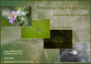 В Самаре в Доме журналиста состоится открытие фотовыставки «Времена года в деталях»