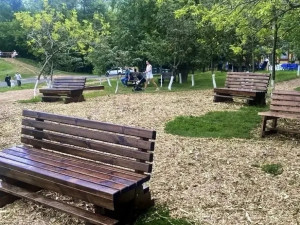 Деревянный настил появился на пляже Загородного парка в Самаре