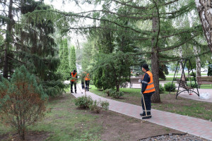 Кадровый центр «Работа России» Самарской области проводит консультации и тренинги для детей в летний период, в том числе онлайн.