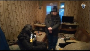 Собранные следователем следственного отдела по Кировскому району Самары доказательства признаны судом достаточными для вынесения приговора 60-летнему местному жителю.