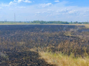 29 июля в 13:01 в пожарно-спасательную часть № 125 филиал ГКУ СО «Центр по делам ГО, ПБ и ЧС» поступило сообщение о пожаре на въезде в село Майское.