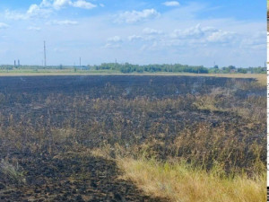 Возгорание травы произошло в Пестравском районе