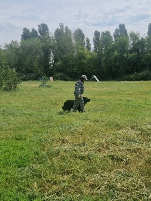 В Самарской области набирает обороты Всероссийская акция «Каникулы с Общественным советом».