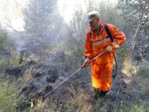 3 августа ликвидировали пожар в Шигонском лесничестве. Возгорание сухой травы площадью 0,5 га произошло накануне из-за грозы.