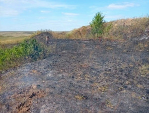 В Волжском районе ликвидирован ландшафтный пожар на площади 500 квадратных метров