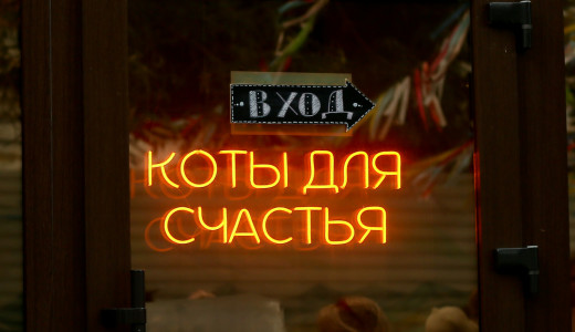 В Самаре проходит Котофест: сегодня второй день!
