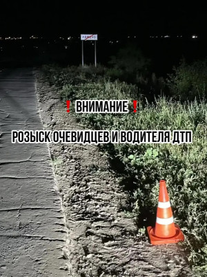 В Сызранском районе водитель сбил женщину и уехал, его ищут