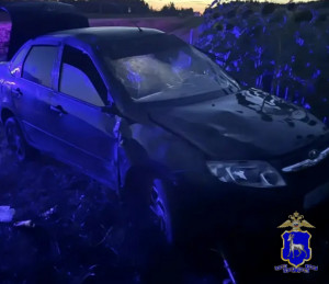 В Кинельском районе водитель перевернул машину в кювет