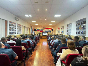 Спикеры подробно рассказали о структуре Федерального Собрания РФ, условиях, сроках и способах голосования, включая дистанционное электронное голосование.