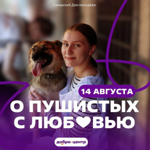 14 августа Самарский дом молодежи (пр. Ленина, 3) приглашает всех желающих на акцию «О пушистых с любовью».