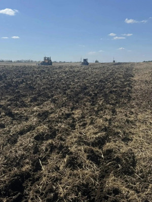 На полях Самарского ГАУ полным ходом идут масштабные полевые работы по закладке фундамента урожая следующего года. Сейчас на полях университета задействовано мощное звено из трех энергонасыщенных тракторов «Кировец» в агрегате с глубокорыхлителями.
