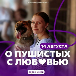 Акция «О пушистых с любовью» пройдет в Самаре ко Всемирному дню бездомных животных