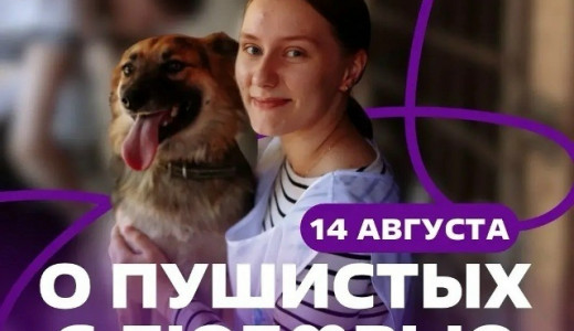 Акция «О пушистых с любовью» пройдет в Самаре ко Всемирному дню бездомных животных