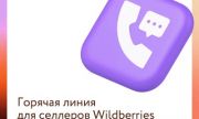 Предпринимателям, пострадавшим от атак на логистическую инфраструктуру Wildberries, окажут поддержку
