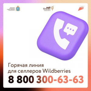 Предпринимателям, пострадавшим от атак на логистическую инфраструктуру Wildberries, окажут поддержку