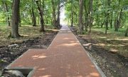 В Самарской области появится парк «Аленький цветочек»