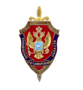 В Самарской области пресечена деятельность двух жителей региона, причастных к хищению денег у матери участника СВО