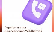 Пострадавшие продавцы Wildberries могут получить документ для подтверждения ущерба и получения мер господдержки
