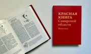  В регионе обновлена структура ведения Красной книги