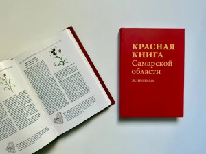  В Самарской области обновили структуру ведения Красной книги: теперь при оценке редких видов используют не только категорию редкости, но и статус угрозы исчезновения, а также степень первоочередности мер охраны