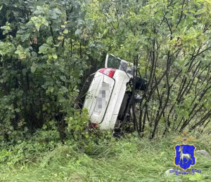 В Ставропольском районе перевернулась машина: двое пострадали