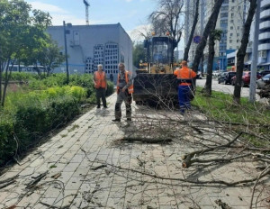 В Самаре ликвидировали последствия залпового ливня и штормового ветра