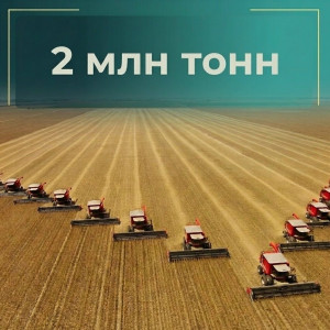 По оперативным данным, по состоянию на 20 августа в области убрано 671,6 тыс. га, что составляет 61% от плана по уборке зерновых и зернобобовых культур.