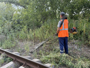 В период с 14 по 22 августа на территории оперативного обслуживания Сызранского ЛО МВД России на транспорте проводится операция «Мак – 2026».